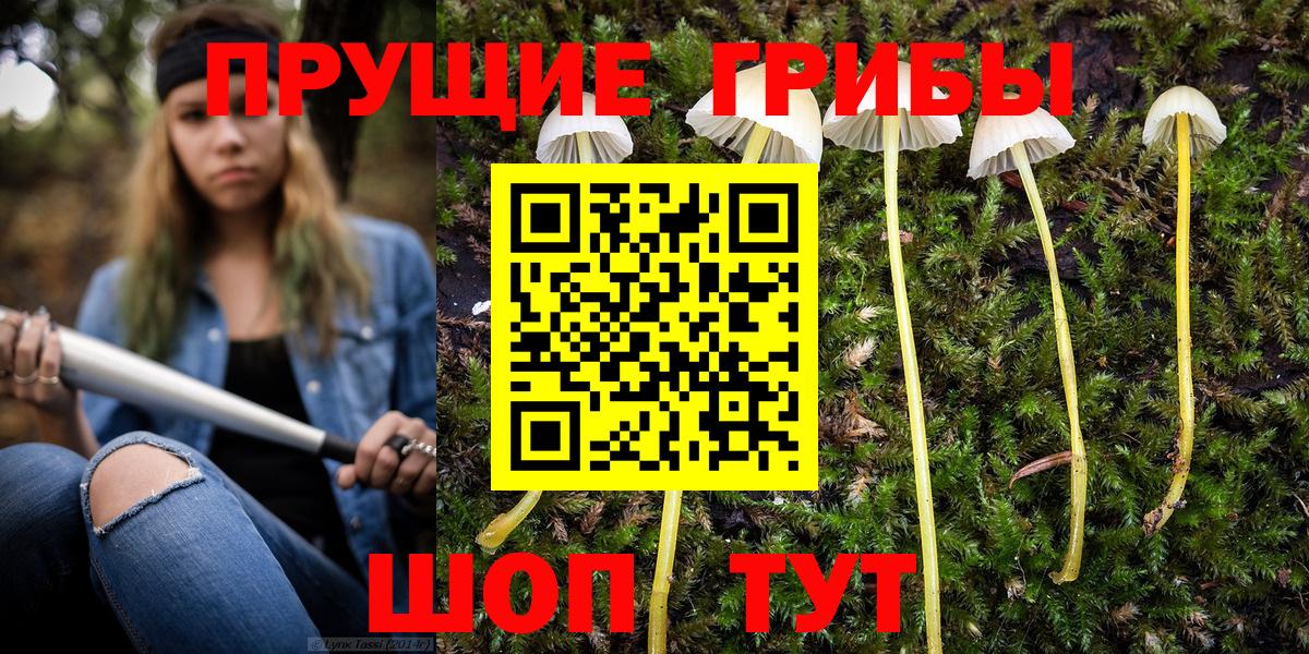 Псилоцибиновые грибы мухоморы Самара